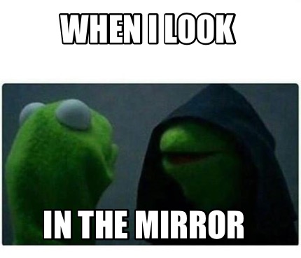 kermit in the mirror